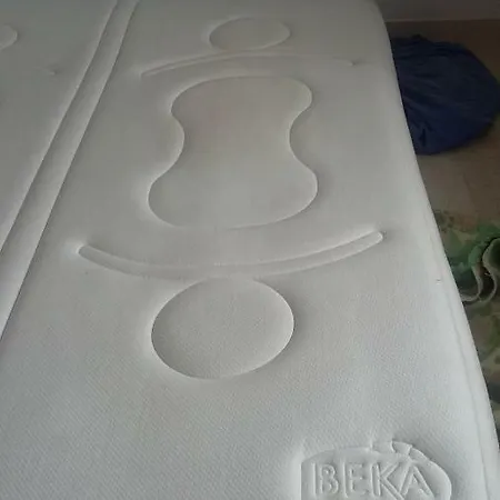 Le Broctia Rose Namur